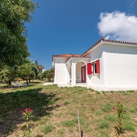 Lenna'S Villas Zante Vasilikí Extérieur photo