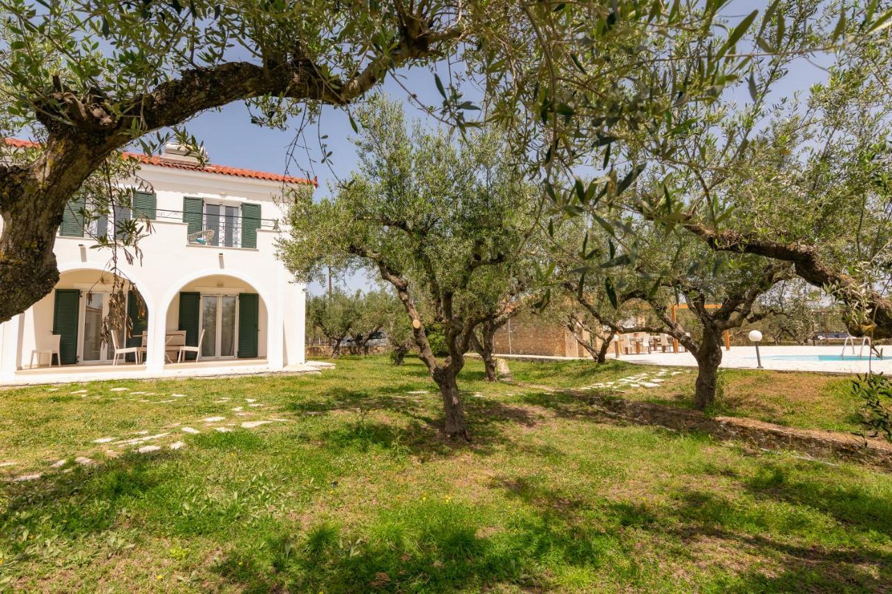 Lenna'S Villas Zante Vasilikí Extérieur photo